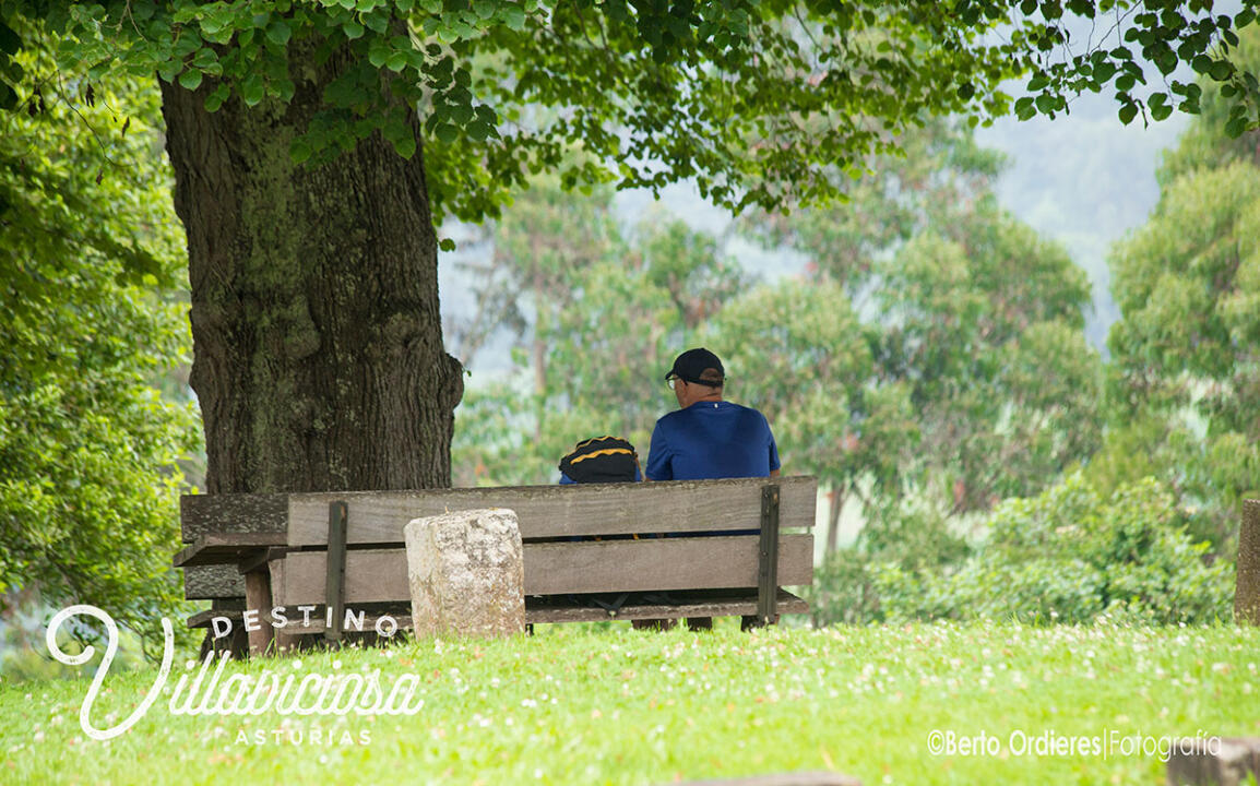 El Camino de Santiago en Villaviciosa (parte I) 6