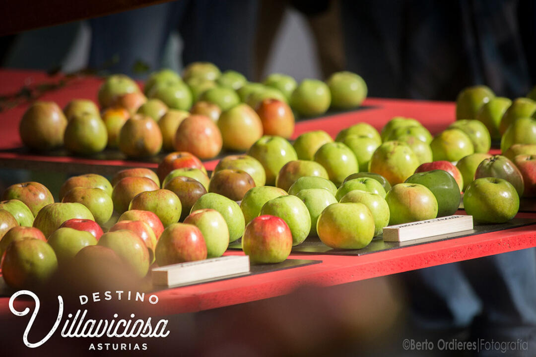 Festival de la Manzana de Villaviciosa