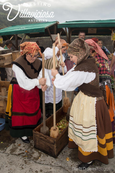 Feria de los figos de Rozaes 15